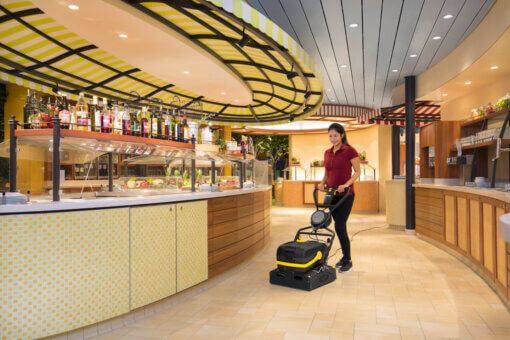 br_40_10 karcher anniversary edition